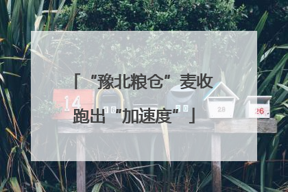 “豫北粮仓”麦收跑出“加速度”