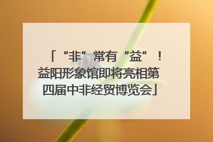 “非”常有“益”！益阳形象馆即将亮相第四届中非经贸博览会