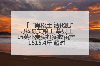 “黑松土 活化肥”寻找最美粮王 莘县王巧英小麦实打实收亩产1515.4斤 超对照田144斤！