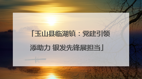 玉山县临湖镇：党建引领添助力 银发先锋展担当