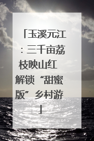 玉溪元江：三千亩荔枝映山红 解锁“甜蜜版”乡村游