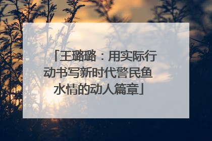 王璐璐：用实际行动书写新时代警民鱼水情的动人篇章