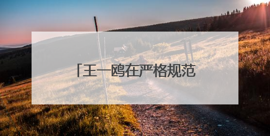 王一鸥在严格规范涉企行政检查暨行政执法评议工作会议上强调 推进涉企行政检查质效大幅提升