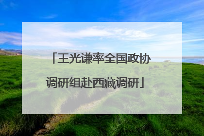 王光谦率全国政协调研组赴西藏调研