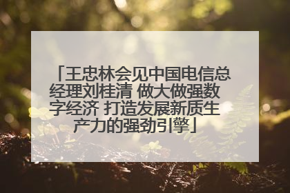 王忠林会见中国电信总经理刘桂清 做大做强数字经济 打造发展新质生产力的强劲引擎