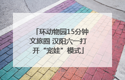 环动物园15分钟文旅圈 汉阳六一打开“宠娃”模式