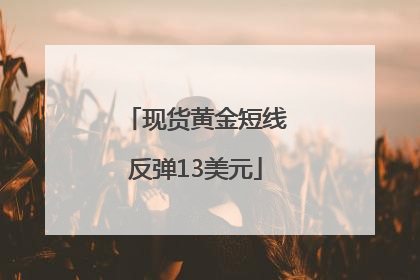 现货黄金短线反弹13美元