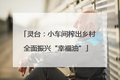 灵台：小车间榨出乡村全面振兴“幸福油”