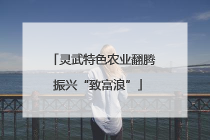 灵武特色农业翻腾振兴“致富浪”