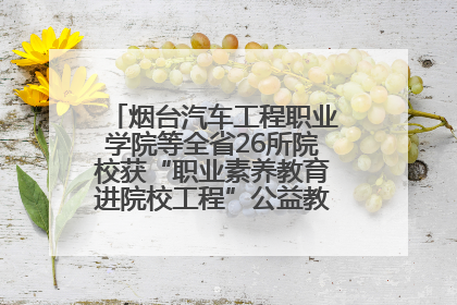 烟台汽车工程职业学院等全省26所院校获“职业素养教育进院校工程”公益教学点集中授牌