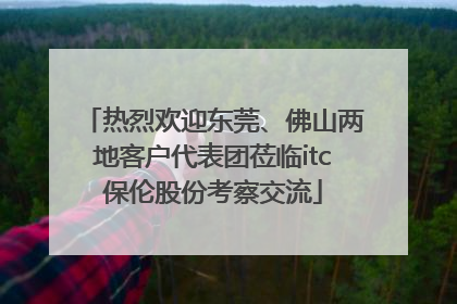 热烈欢迎东莞、佛山两地客户代表团莅临itc保伦股份考察交流