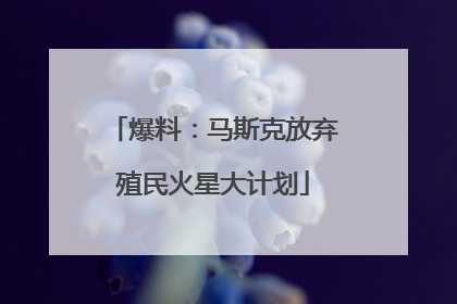 爆料：马斯克放弃殖民火星大计划