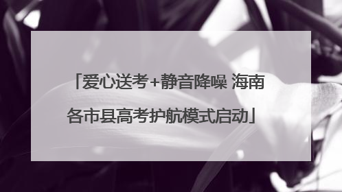 爱心送考+静音降噪 海南各市县高考护航模式启动