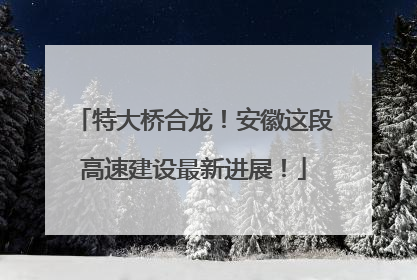 特大桥合龙！安徽这段高速建设最新进展！