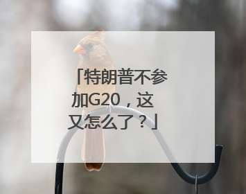 特朗普不参加G20，这又怎么了？