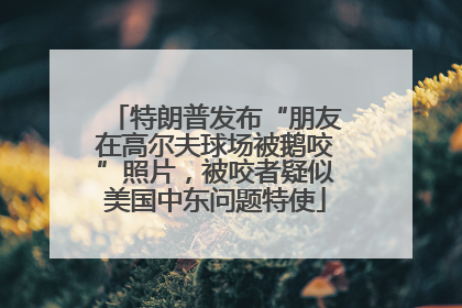 特朗普发布“朋友在高尔夫球场被鹅咬”照片，被咬者疑似美国中东问题特使