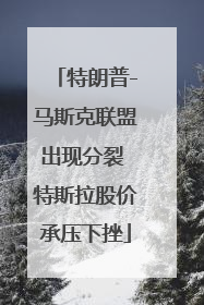 特朗普-马斯克联盟出现分裂 特斯拉股价承压下挫