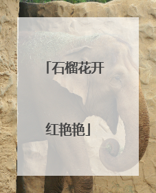 石榴花开红艳艳