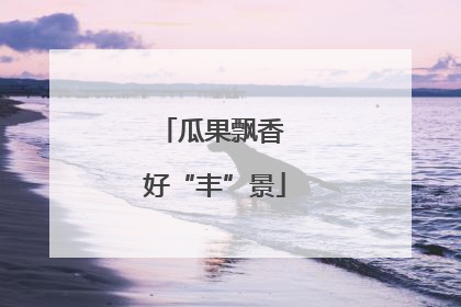 瓜果飘香 好“丰”景