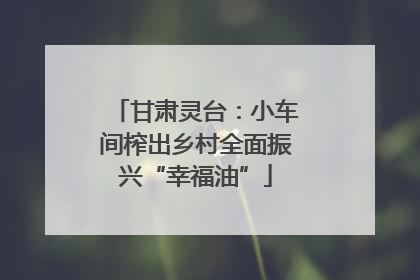 甘肃灵台：小车间榨出乡村全面振兴“幸福油”