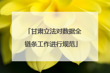 甘肃立法对数据全链条工作进行规范