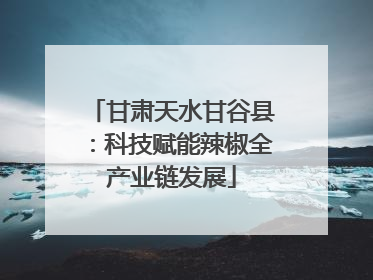 甘肃天水甘谷县：科技赋能辣椒全产业链发展