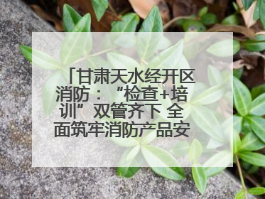 甘肃天水经开区消防：“检查+培训”双管齐下 全面筑牢消防产品安全防线