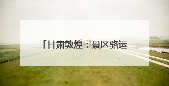 甘肃敦煌：景区骆运服务实行“三班倒”