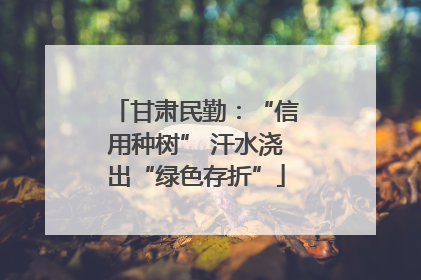 甘肃民勤：“信用种树” 汗水浇出“绿色存折”