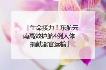 生命接力！东航云南高效护航4例人体捐献器官运输