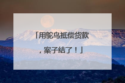 用鸵鸟抵偿货款，案子结了！