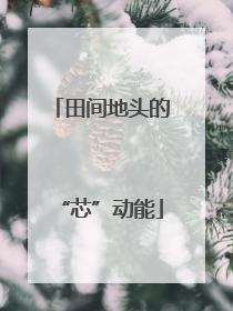 田间地头的“芯”动能