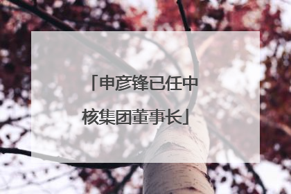 申彦锋已任中核集团董事长