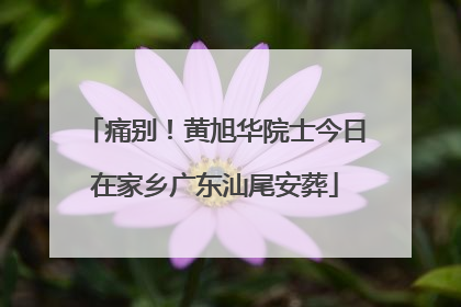 痛别！黄旭华院士今日在家乡广东汕尾安葬