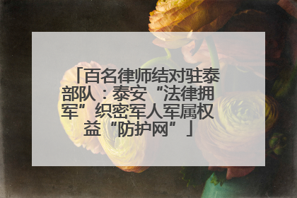 百名律师结对驻泰部队：泰安“法律拥军”织密军人军属权益“防护网”