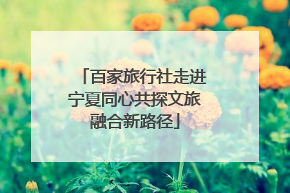 百家旅行社走进宁夏同心共探文旅融合新路径