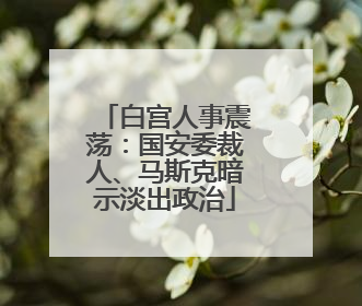 白宫人事震荡：国安委裁人、马斯克暗示淡出政治