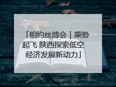 相约丝博会｜乘势起飞 陕西探索低空经济发展新动力