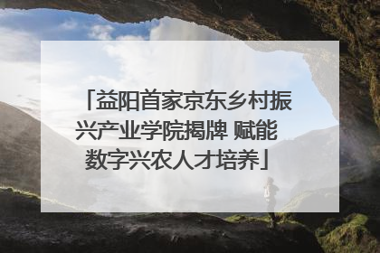 益阳首家京东乡村振兴产业学院揭牌 赋能数字兴农人才培养