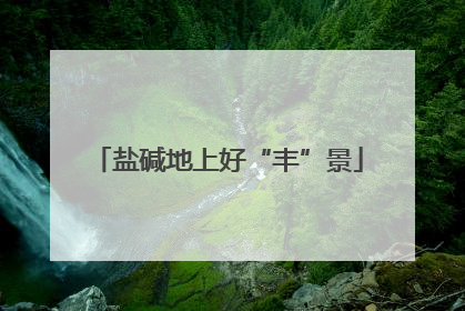 盐碱地上好“丰”景