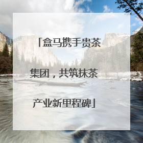 盒马携手贵茶集团，共筑抹茶产业新里程碑