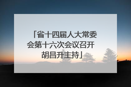 省十四届人大常委会第十六次会议召开 胡昌升主持