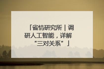 省情研究所｜调研人工智能，详解“三对关系”