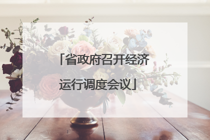 省政府召开经济运行调度会议