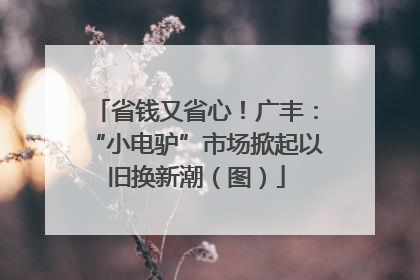 省钱又省心！广丰：“小电驴”市场掀起以旧换新潮（图）