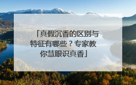 真假沉香的区别与特征有哪些？专家教你慧眼识真香