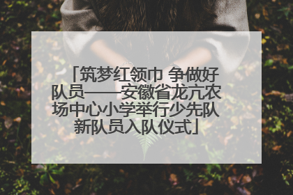 筑梦红领巾 争做好队员——安徽省龙亢农场中心小学举行少先队新队员入队仪式