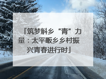 筑梦斛乡“青”力量：太平畈乡乡村振兴青春进行时