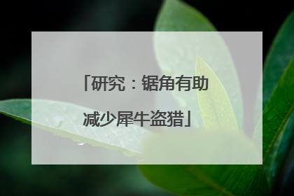 研究：锯角有助减少犀牛盗猎