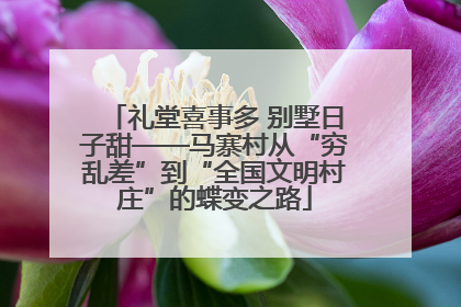 礼堂喜事多 别墅日子甜——马寨村从“穷乱差”到“全国文明村庄”的蝶变之路